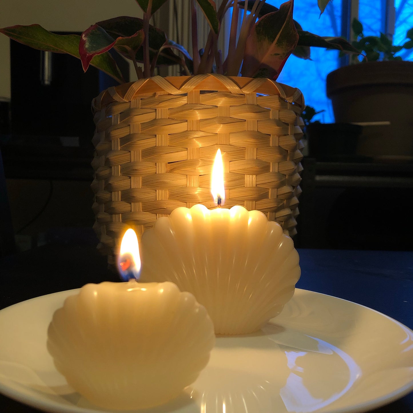 Coquillages - Duo de bougies de soja