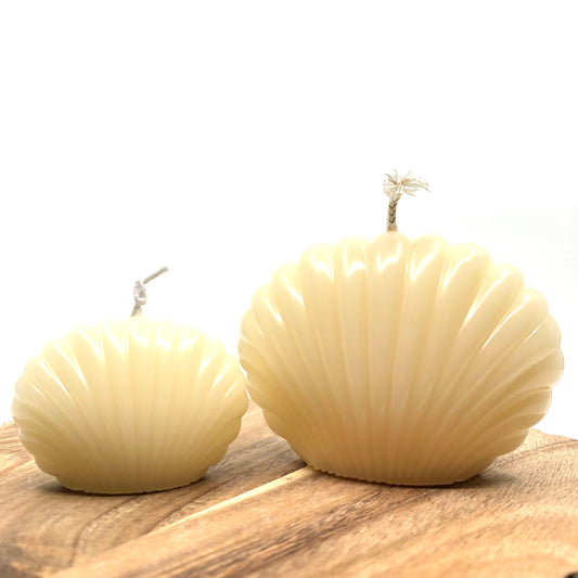 Shells - Duo of soy candles